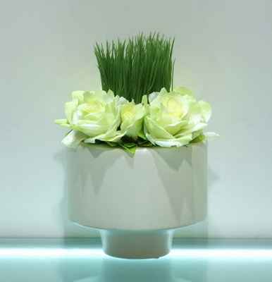 小盆栽產品價格_圖片_報價