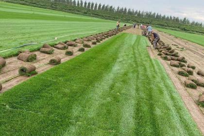 銅川林木產(chǎn)品信息_銅川企業(yè)產(chǎn)品分類信息_銅川壹佰業(yè)