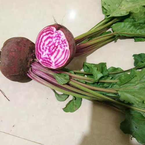 昆明無土栽培蔬菜哪里賣擇優推薦 本信息長期有效