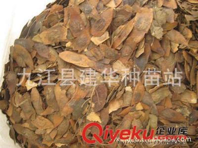 供應(yīng) 降香黃檀種子 優(yōu)質(zhì)木材 種子 黃花梨種子-九江縣建華種業(yè)提供供應(yīng) 降香黃檀種子 優(yōu)質(zhì)木材 種子 黃花梨種子的相關(guān)介紹、產(chǎn)品、服務(wù)、圖片、價(jià)格九江縣建華種業(yè)、林木種子;工程種子;園林綠化種子;花卉種子;珍稀樹種;紫玉蘭種子;羅漢松種子;黃山欒種子;小葉雞爪槭種子;桂花種子;濕地松種子;雪松種子;楠木種子;南方紅豆杉種子;櫸樹種子;杉木種子;皂角種子;楊梅種子;馬尾松種子;藍(lán)花楹種子