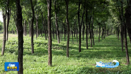 筑牢綠色生態(tài)屏障 以環(huán)湖綠守護(hù)水庫清