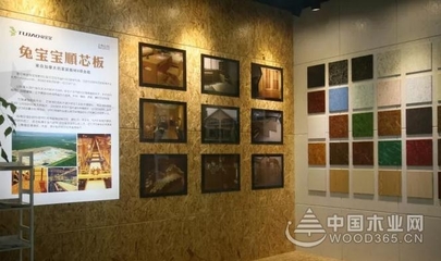 兔寶寶董事長(zhǎng)丁鴻敏率隊(duì)考察加拿大,洽談順芯板深度合作