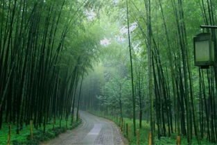 老杭州的清明怎么過 這些民俗別錯過