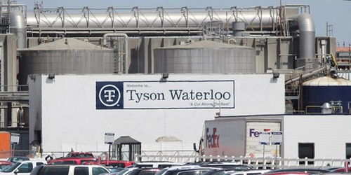 美國泰森食品一處工廠近900名員工確診