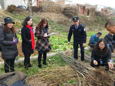 林木種苗行政執(zhí)法體系建設(shè),構(gòu)建公平公正和諧的林木種苗發(fā)展環(huán)境