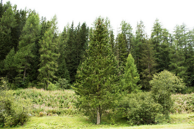 高恩山圖片-高恩山素材-高恩山插畫-攝圖新視界