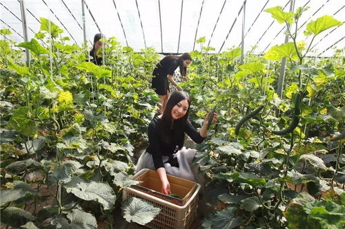 恭喜禹州榮登2017旅游業最美中國榜 又一項國家級榮譽花落禹州