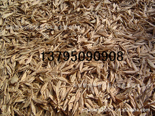 糖槭種子,林木種子、造林種子、種子市場行情_農副產品_世界工廠網