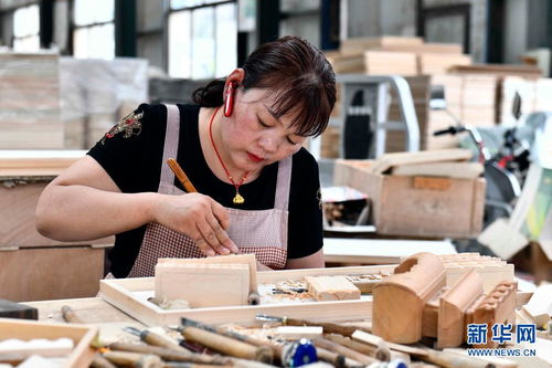 山東曹縣 林木撬動大產(chǎn)業(yè)