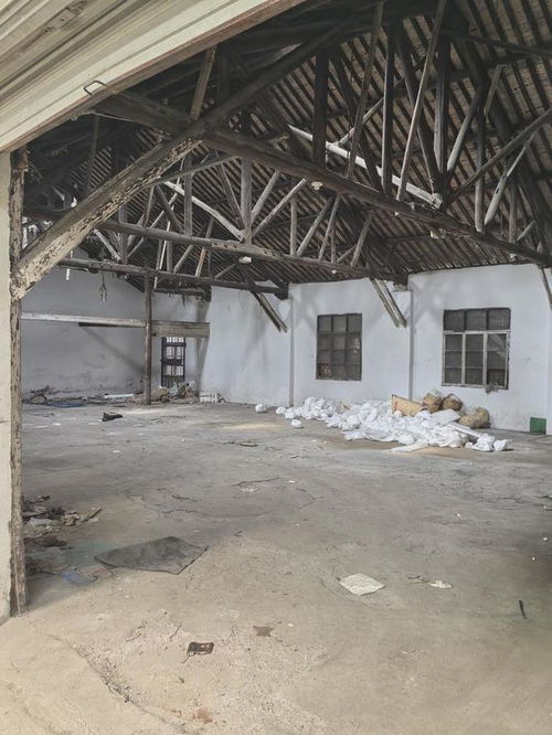 寧波香飄飄食品破產(chǎn),工廠被拍賣,被人1203萬高價買下