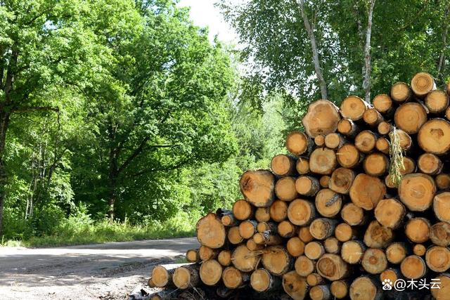 新西蘭旨推進木質(zhì)生物質(zhì)能源利用