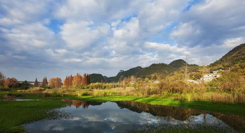 多措并舉助力生態環境修復 助推貴陽環城林帶提質升級