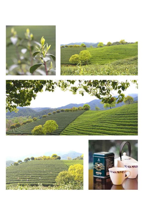 茶要在水中泡多長(zhǎng)時(shí)間最好,向來都是憑經(jīng)驗(yàn)而定