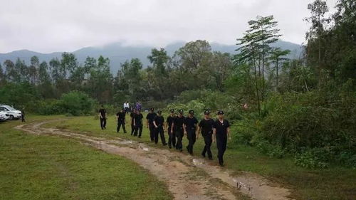 拒不執行 剃頭 行動來了