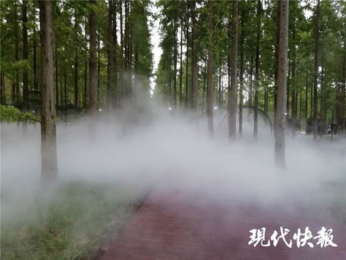 江蘇林木種苗與林下經濟產業協同發展，總產值突破746億元