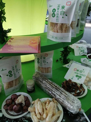 林木展上，這些實惠的林下經濟產品讓人眼饞——以盆景為例